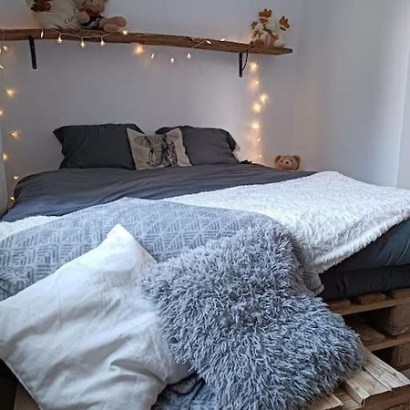 Ferienwohnung T2 Ultra Cosy En Hypercentre Tarare Exterior foto