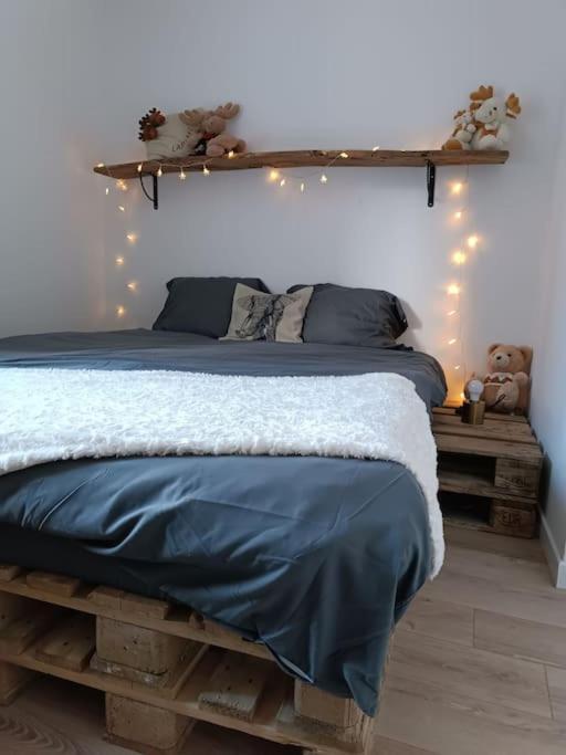 Ferienwohnung T2 Ultra Cosy En Hypercentre Tarare Exterior foto